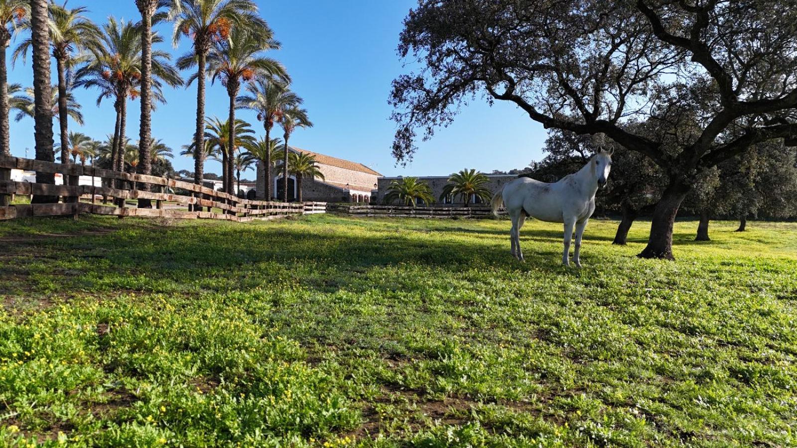 Alojamiento Rural Finca Barral El Garrobo Exteriör bild