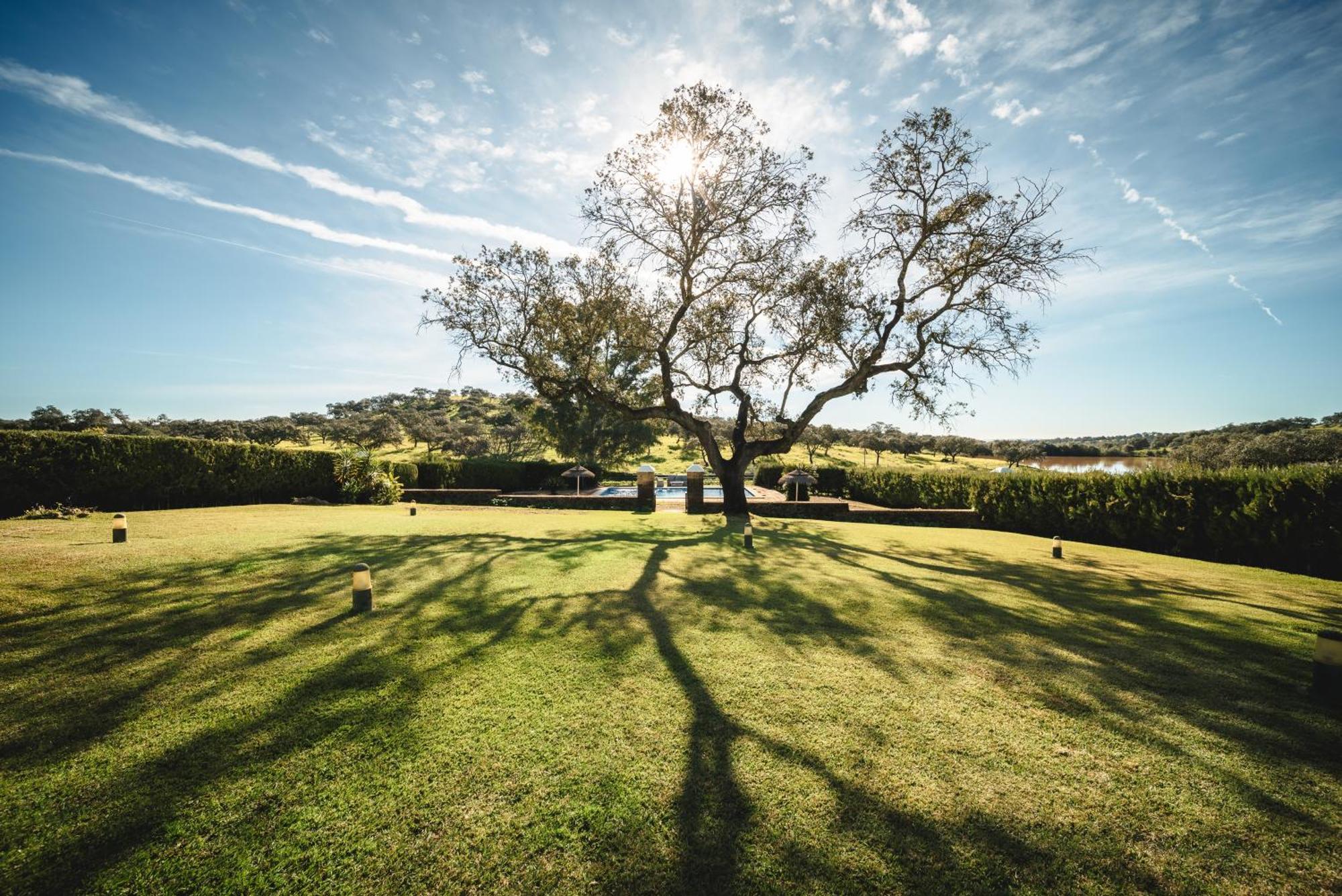 Alojamiento Rural Finca Barral El Garrobo Exteriör bild