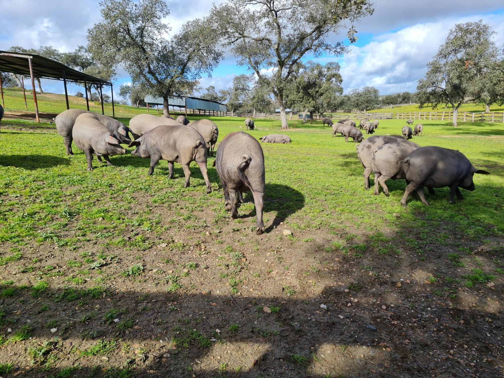 Alojamiento Rural Finca Barral El Garrobo Exteriör bild